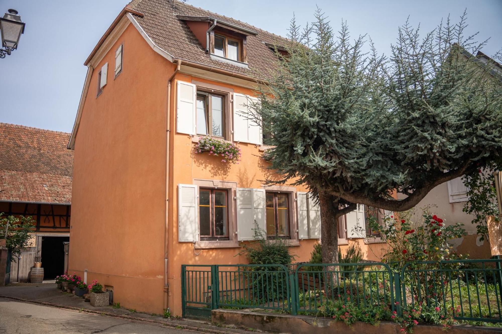 Chambre Rose Des Vents Eguisheim Exterior photo